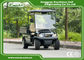 2 Seater Electric Golf Utility Carts Electric Hotel Buggy Car with Aluminium Cargo