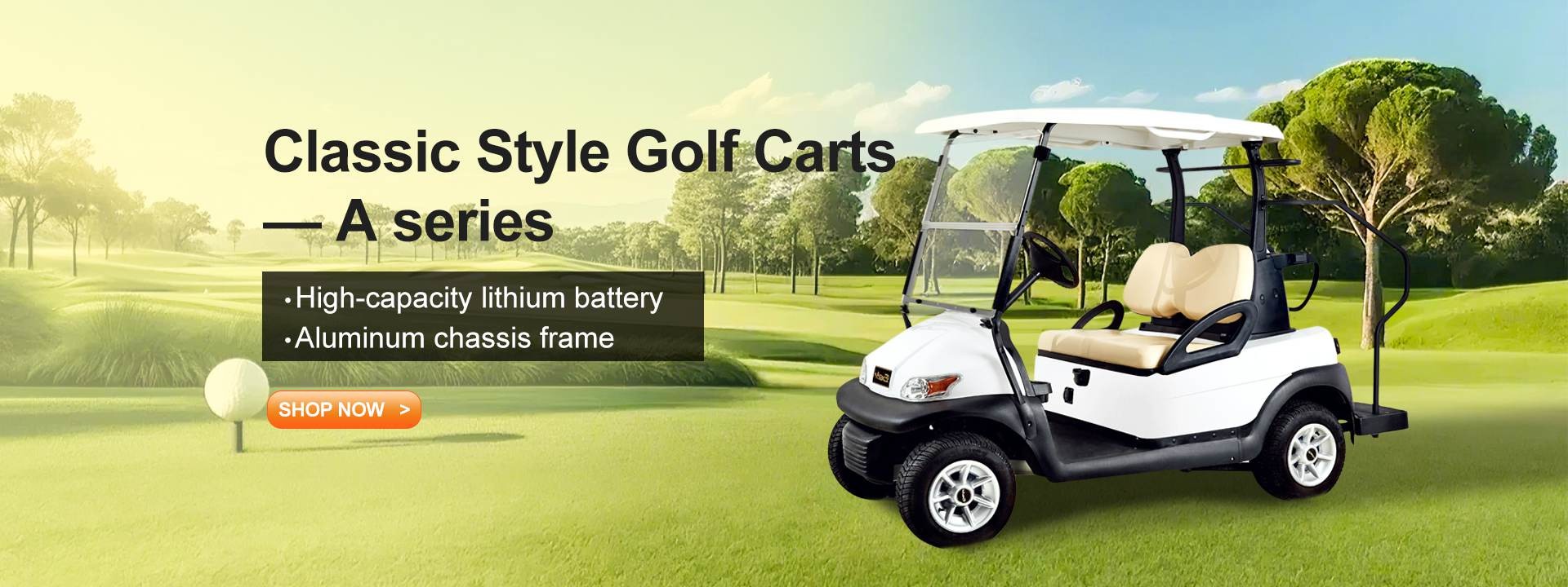 quality Electric Golf Carts factory