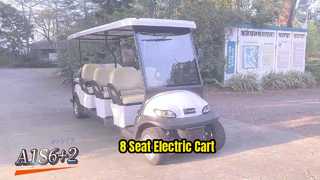 A1S6+2 White Electric Golf Carts , 8-seater