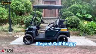 BN2 dark Green  See Why Choose Lifted Elegant 2 Seats  Electric Golf Buggy Carried 48V Lithium Batt