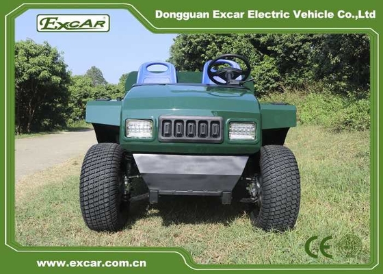 Whosale Excar New Design Model Electric Mini Buggy Car  Golf Car