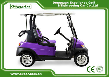 Purple And Black 2 Passenger Electric Car 48V With 1 Year Warranty