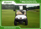 2 Seaters Electric Golf Carts , Steel Chassis Electric Golf Buggy