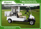 2 Seaters Electric Golf Carts , Steel Chassis Electric Golf Buggy