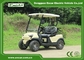 1-2 Seats Electric Golf Carts With 48v Lead Acid Battery Or Lithium Battery