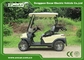 Electric Golf Carts With 48v Lead Caid Battery Or Lithium Battery