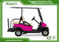 Pink 48 Voltage Trojan Battery 4 Passenger Golf Cart Rear Drum Brake Type