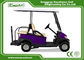 Purple Battery Operated Electric Golf Car 48V Mini Club Car 4 Seater