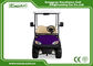 EXCAR Four Wheel Battery Operated Golf Buggy Mini Type Purple Color