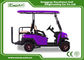 Fuel Type Electric Golf Car 350AH 3.7W Aluminium Electric Hunting Carts Framework Purple