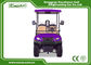 Fuel Type Electric Golf Car 350AH 3.7W Aluminium Electric Hunting Carts Framework Purple