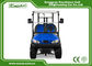 Blue Color Mini Electric Golf Buggy 48V With Trojan Battery/Curtis Controller