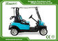 EXCAR 2 seater Mini Electric Golf Cart Trojan Battery golf car/Curtis Controller