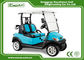 Light Blue Color 2 Seats Golf Carts With Special Disc Brake/Trojan Battery