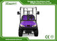 EU CE Certificate Electric Golf Carts 2 Passenger With Trojan Batter