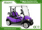 EU CE Certificate Electric Golf Carts 2 Passenger With Trojan Batter