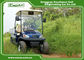 Blue 48v 3.7kw 2 Seat Electric Utility Golf Cart / Buggy Club Car