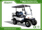 4 Passenger Electric Hunting Buggy With Intelligent Onboard Charger