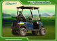 Engineering Plastic Body Electric Golf Carts , Max.speed 25km/h