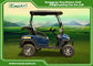 Engineering Plastic Body Electric Golf Carts , Max.speed 25km/h