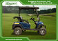 Lead-Acid Wet Battery Powered 2 Seats Golf Carts / Electric Buggy Car Golf