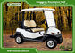 Excar 48V Trojan Batteries Electric Golf Carts 20A Off Board Charger
