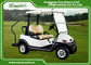 Powerful Electric Golf Club Car 2 Seater With ADC Motor 48V 3KW
