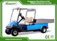 2 Seater Hotel Buggy Car , Electric Utility Golf Carts 100% Waterproof Accelerator