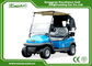 2 Seater Disc Brake Technology Electric Golf Carts With Bages & Car Cover