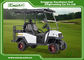 2 - Seater Mini Electric Hunting Buggy , Golf Cart Type Vehicles Ce Approved
