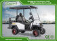 2 - Seater Mini Electric Hunting Buggy , Golf Cart Type Vehicles Ce Approved