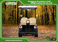 Comfortable EXCAR Golf Power Carts , Battery Operated Golf Buggy With 2 Seater