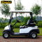 Street Legal Motorized Low Speed Vehicle Golf Cart COC And CE Certificate