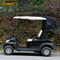 Most Popular 2 Seats Electric Golf Carts With Cloak , 100 Waterproof Accelerator
