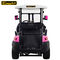 Battery Powered Custom Electric Golf Carts Vehicle Four Wheeler ADC Motor