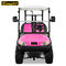 Battery Powered Custom Electric Golf Carts Vehicle Four Wheeler ADC Motor