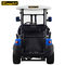 AC OR DC Powered Electric Golf Carts For 2 Person , 48V Trojan Battery