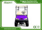 45kmph Used Low Speed Electric Vehicles 2 Rear Seat With AC DC System