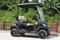 Convenient Electric Golf Buggy Italy Graziano Axle 12/1 Trojan Battery